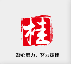 聚焦财产，努力援桂